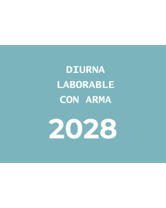 Hora vigilante seguridad diurna laborable con arma (2028)