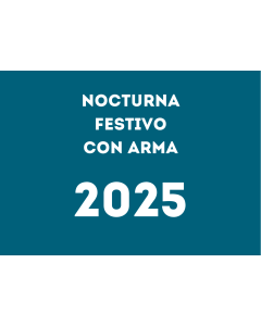 Hora vigilante de seguridad nocturna festivo con arma (2025)